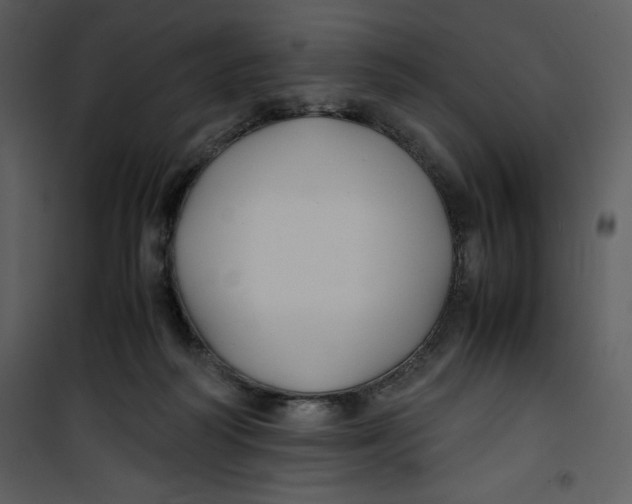 X0000100860218200807181143