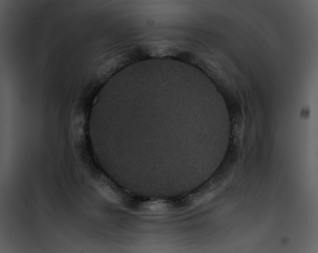 X0000100860219200807181143