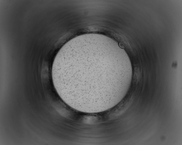 X0000100860220200807181143