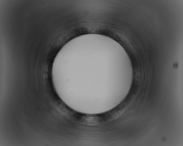 X0000100860221200807181143