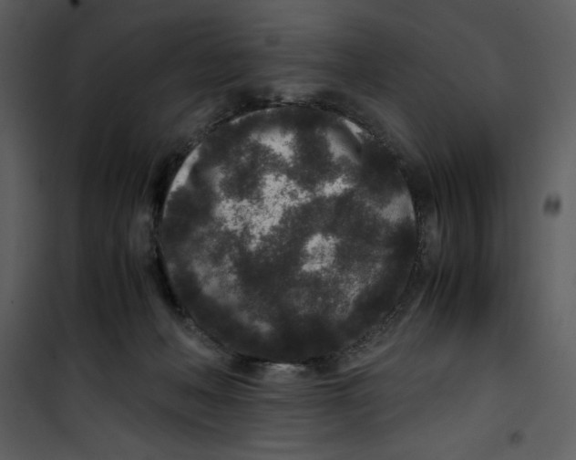 X0000100860222200807181143