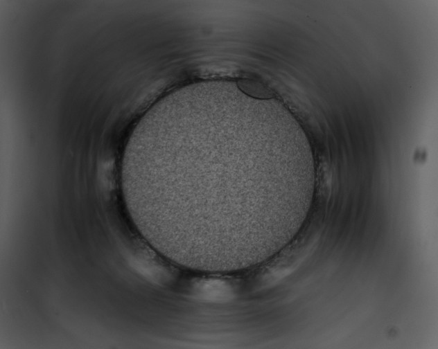 X0000100860224200807181143