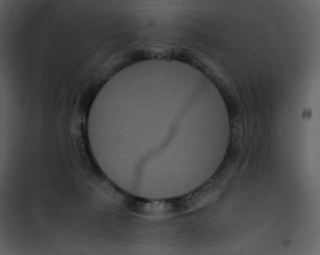 X0000100860225200807181143