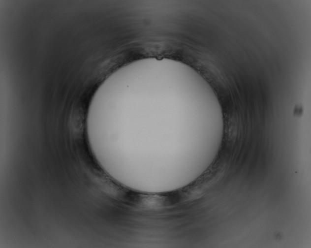 X0000100860226200807181143