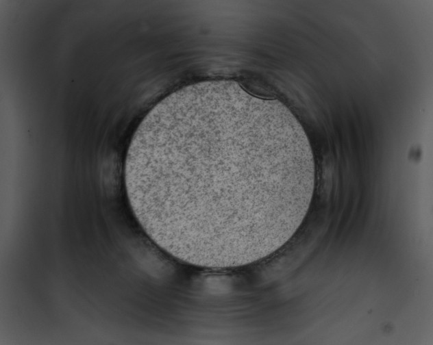 X0000100860228200807181143