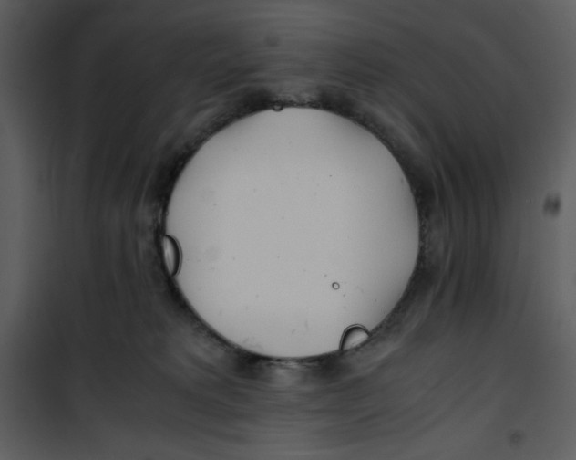 X0000100860229200807181143