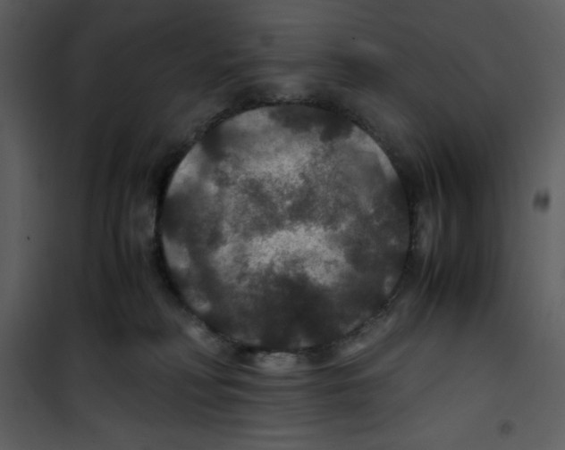 X0000100860230200807181143