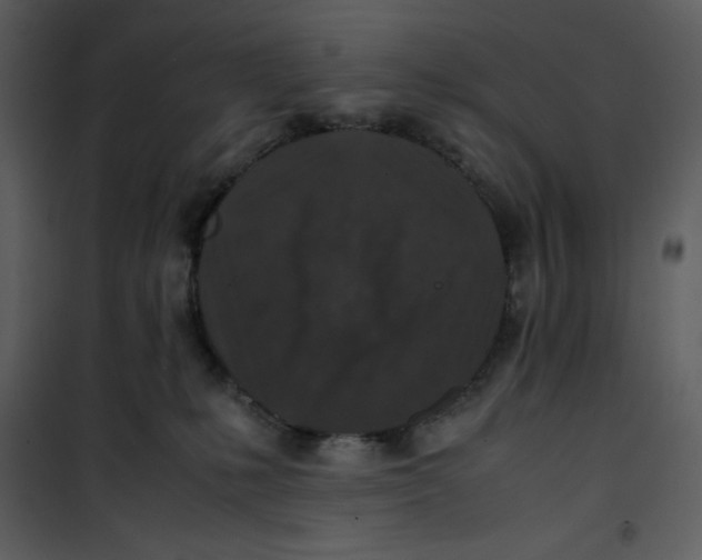 X0000100860231200807181143