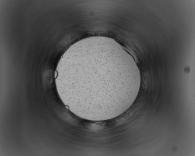 X0000100860232200807181143