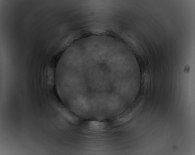 X0000100860234200807181143