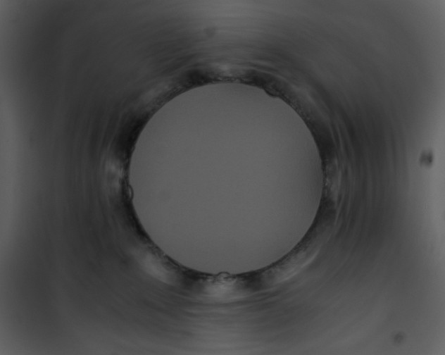 X0000100860235200807181143