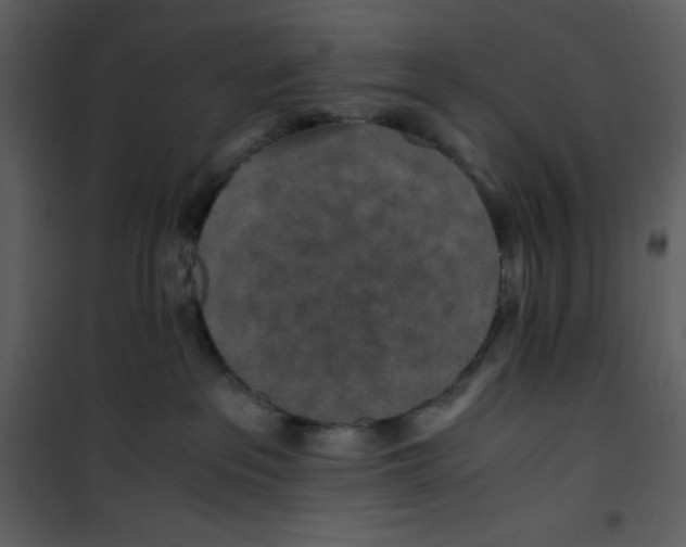 X0000100860237200807181143