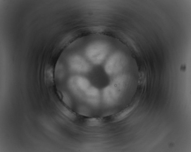 X0000100860238200807181143