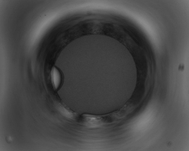 X0000100860239200807181143