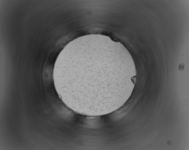 X0000100860240200807181143