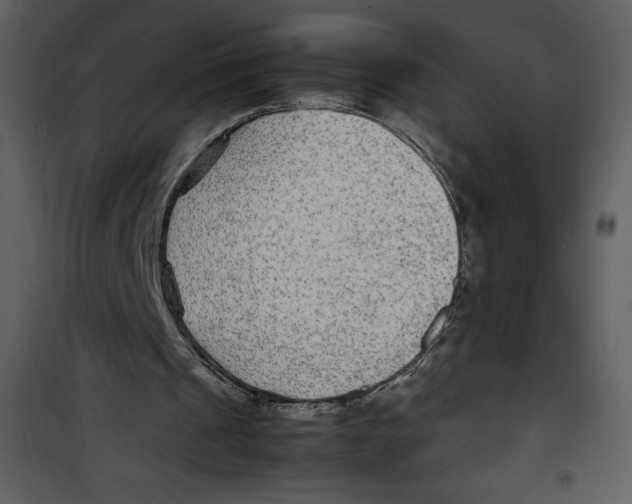 X0000100860241200807181142