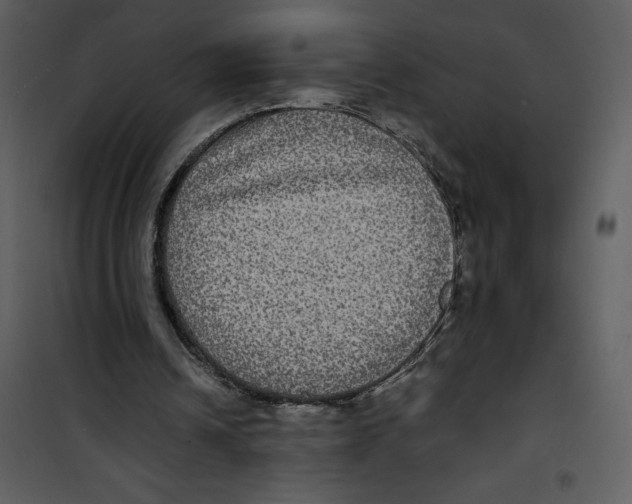 X0000100860242200807181142