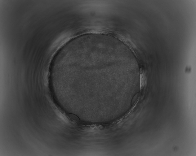 X0000100860243200807181142