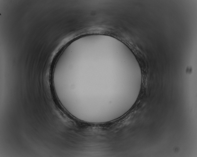 X0000100860244200807181142