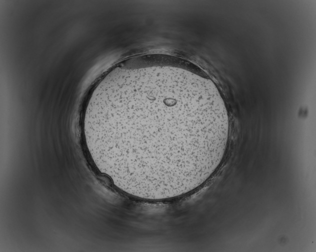 X0000100860245200807181142