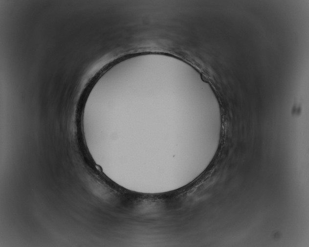 X0000100860248200807181142