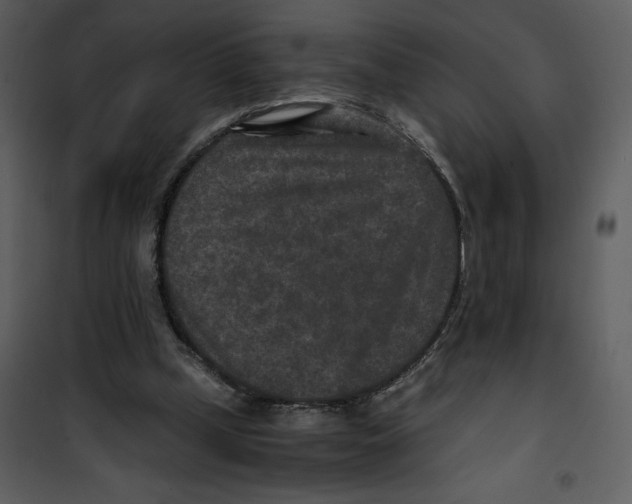 X0000100860249200807181142