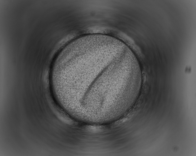 X0000100860250200807181142