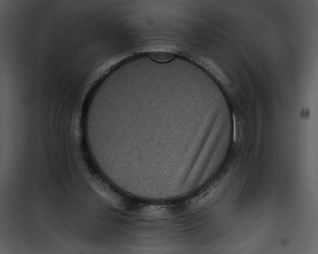 X0000100860252200807181142