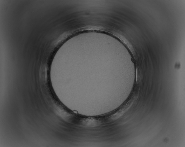 X0000100860253200807181142