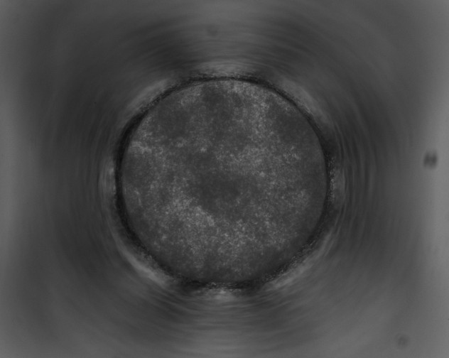 X0000100860254200807181142