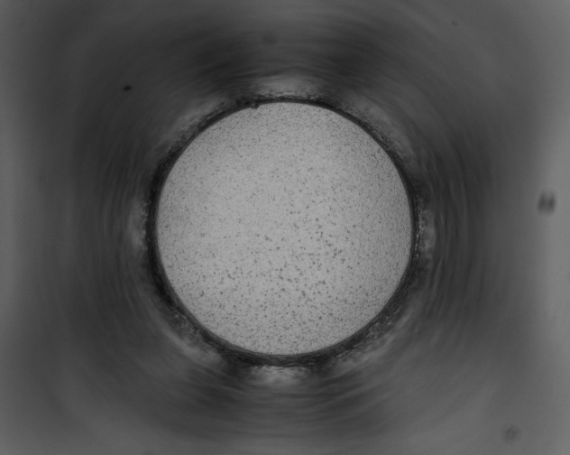 X0000100860255200807181142