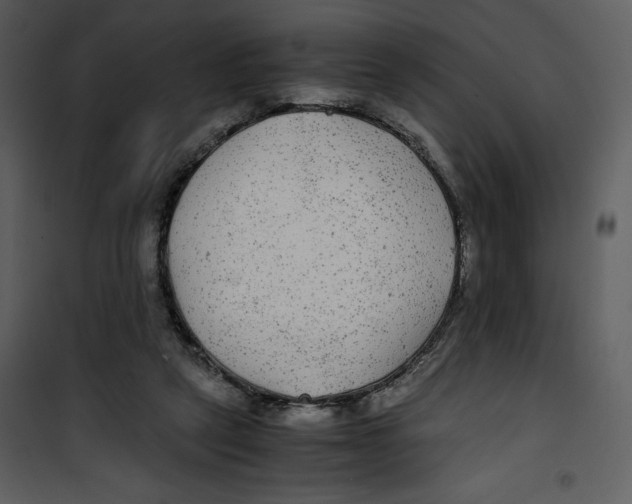 X0000100860257200807181142