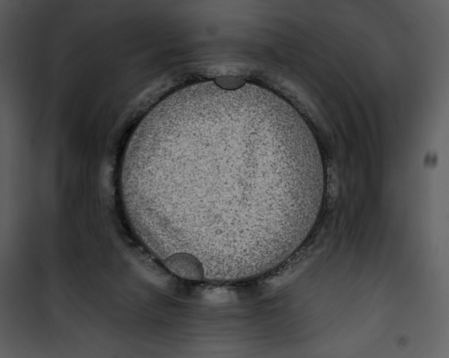 X0000100860258200807181142