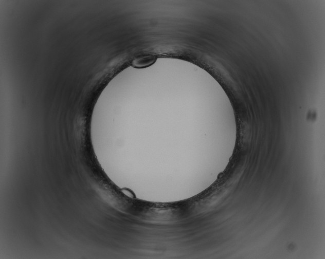 X0000100860260200807181142