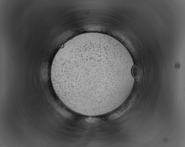 X0000100860261200807181142