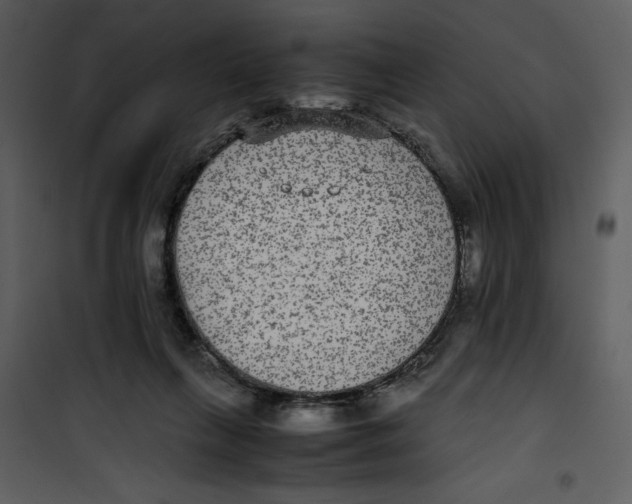 X0000100860263200807181143