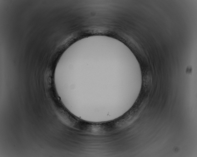 X0000100860264200807181143