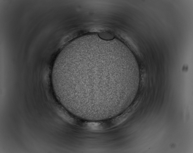 X0000100860265200807181143