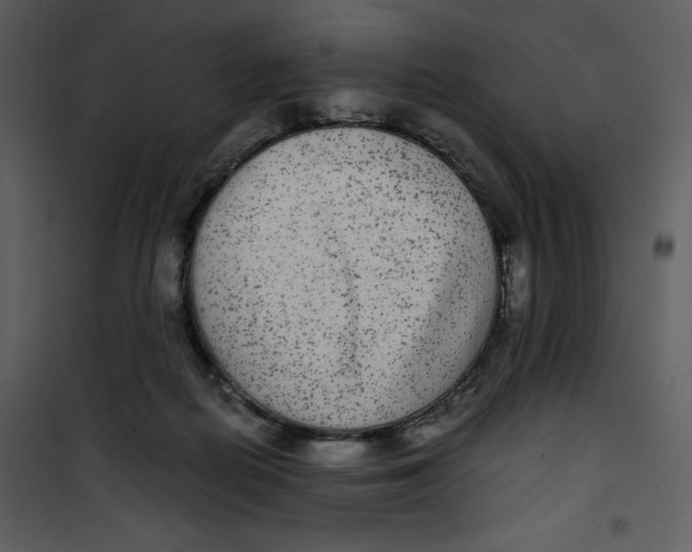 X0000100860266200807181143