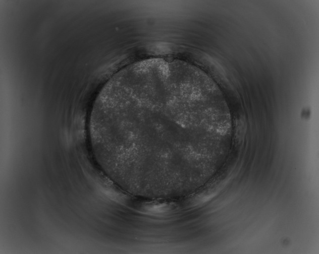 X0000100860267200807181143