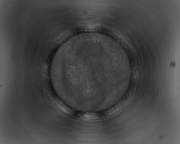 X0000100860270200807181143