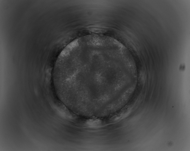 X0000100860271200807181143