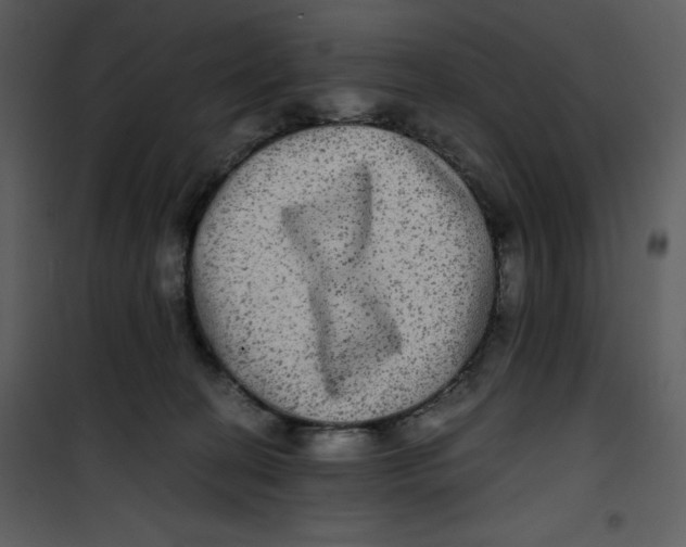 X0000100860274200807181143