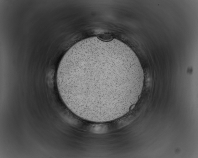 X0000100860275200807181143