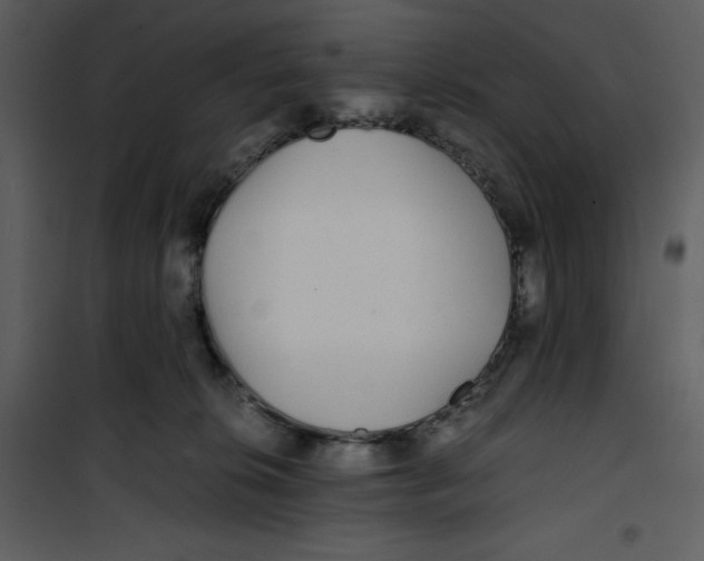 X0000100860276200807181143