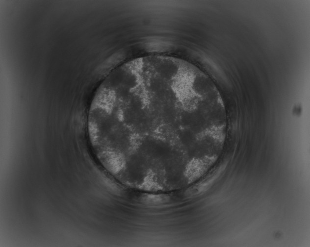 X0000100860277200807181143