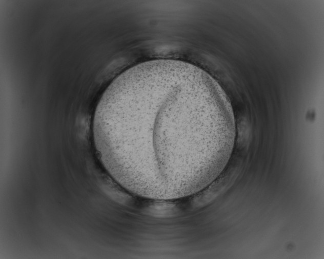 X0000100860278200807181143