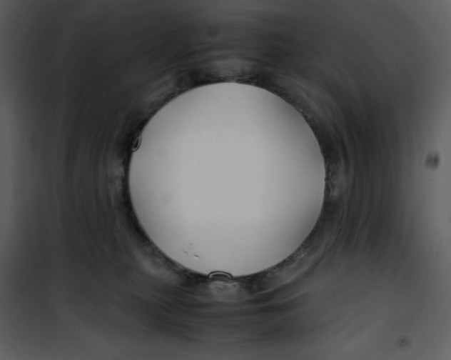 X0000100860279200807181143