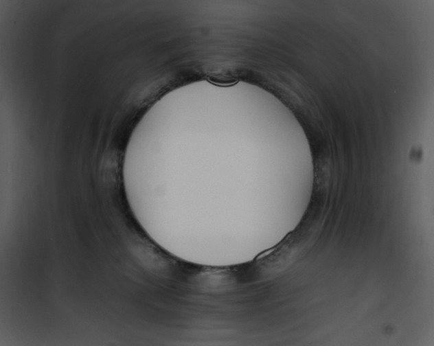 X0000100860280200807181143