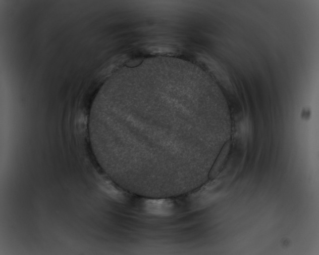 X0000100860281200807181143